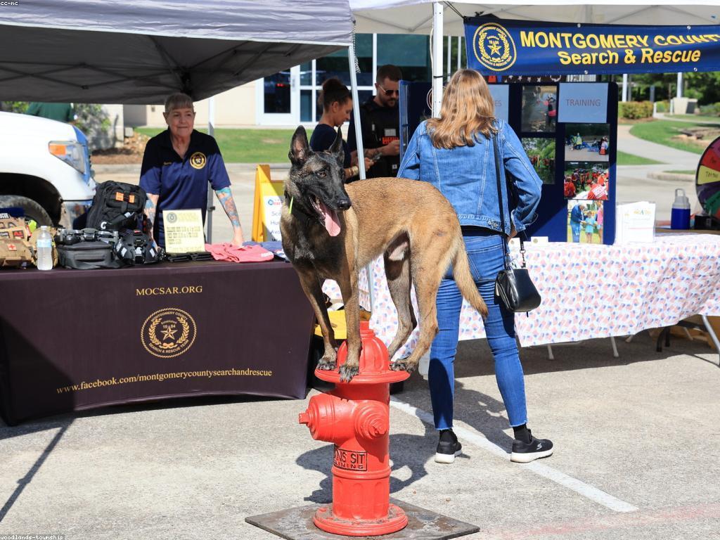 ការអប់រំអំពីសុវត្ថិភាព: ការពារខ្លួននិងសហគមន៍