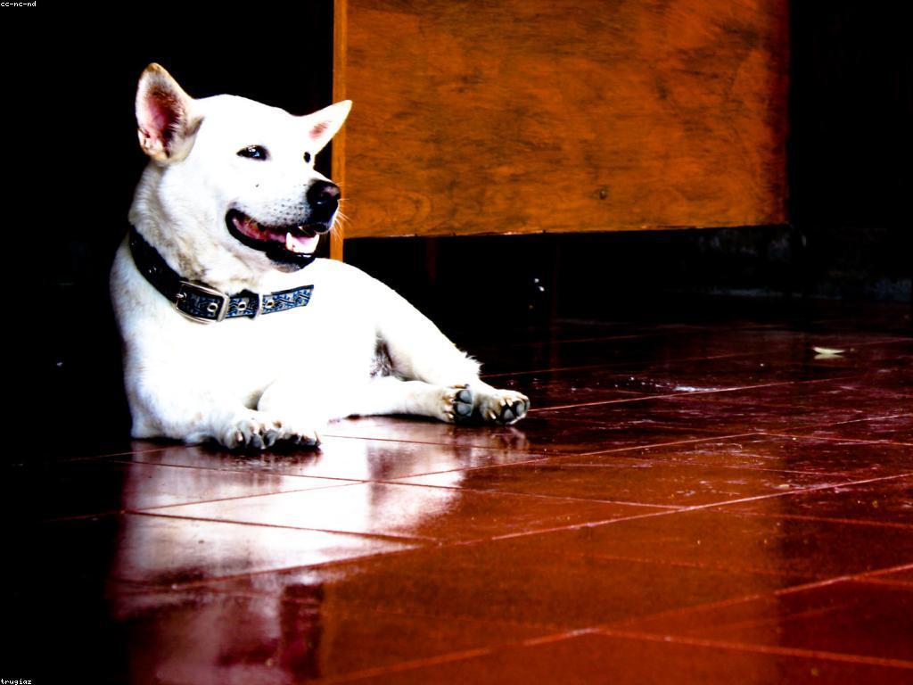 វិធីសាស្ត្រលេងស្លតសម័យថ្មី