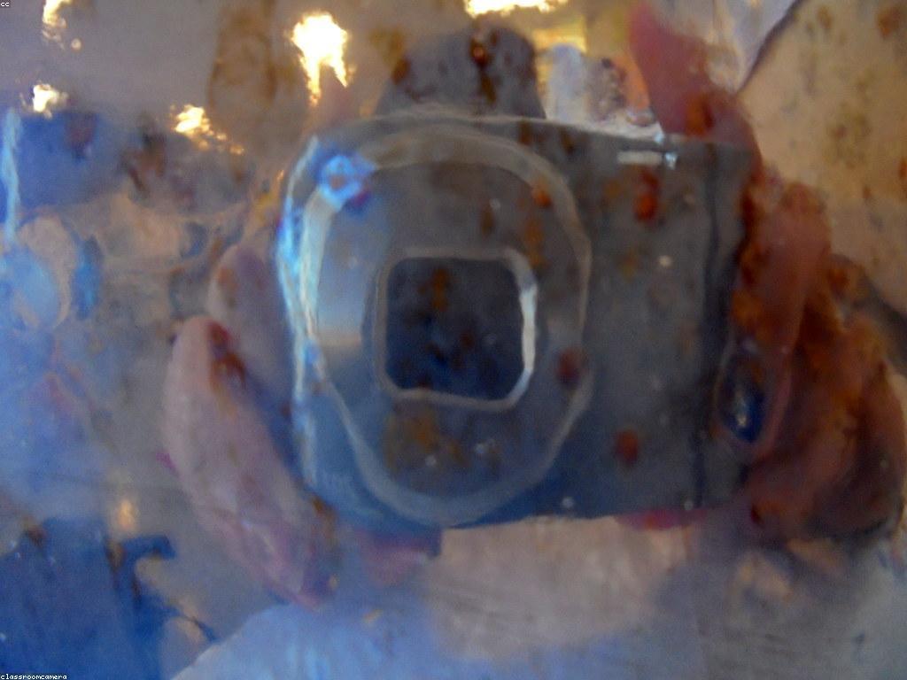 ការការពារកុមារ: នៅក្នុងអាយុឌីជីថល