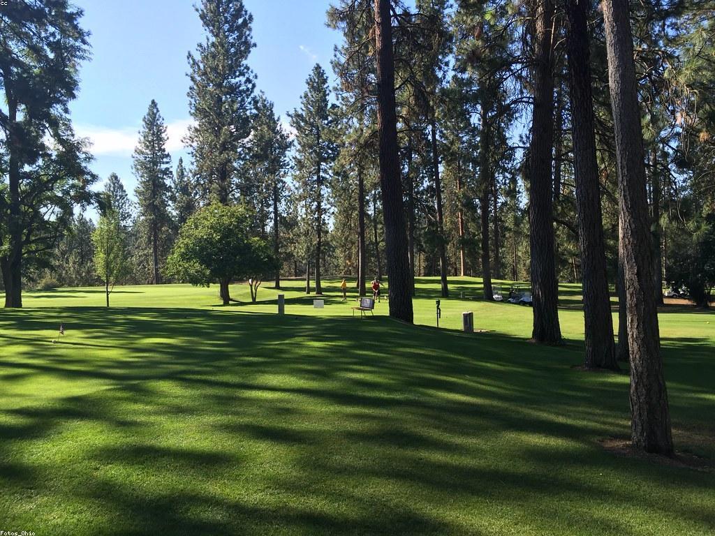 ការការពារកុមារ និងវិស័យកាស៊ីណូ