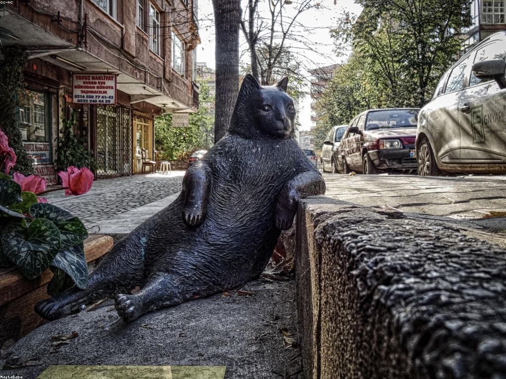 យុទ្ធសាស្ត្រថ្មីសម្រាប់ការលេងស្លត